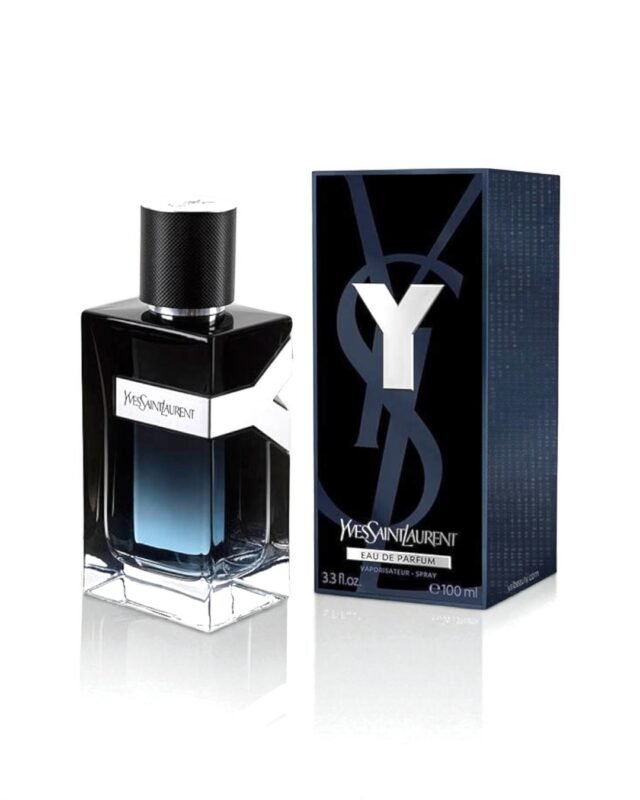 YSL Y  100ML | Daytemis