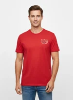 Polo Tommy | Daytemis