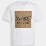 Polo Coach